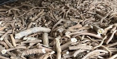 剖析干燥設(shè)備怎么選型？